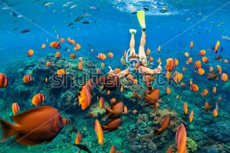Картина Девочка в маске плавает среди красивых тропических рыб 