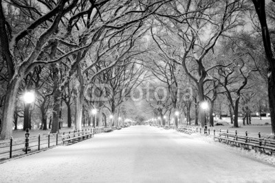 Картина Центральный парк, Нью-Йорк в снегу 