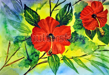 Картина Акварельная иллюстрация с яркими цветами гибискуса 