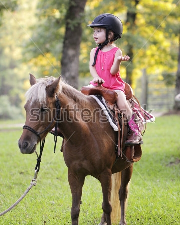 Картина Юная всадница на лошади в парке 