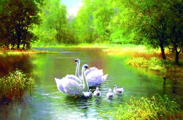 Картина Лебеди (Swans) 